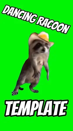 Dancing Racoon