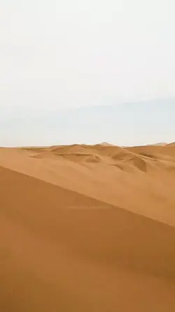 Video Curiosidade