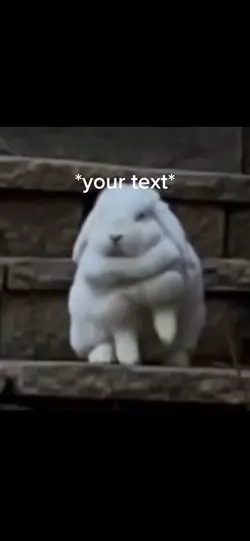Dance bunny