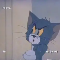 Gato Tom
