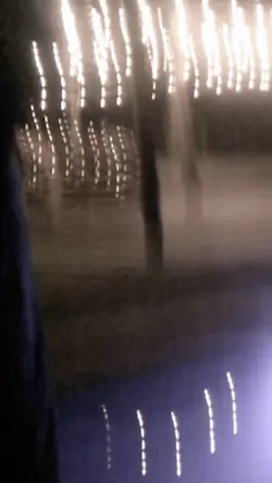 Vhs