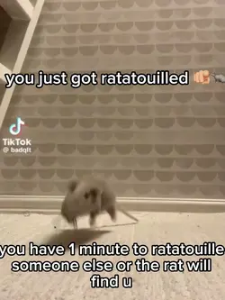 get ratatouilled 🫵🏼