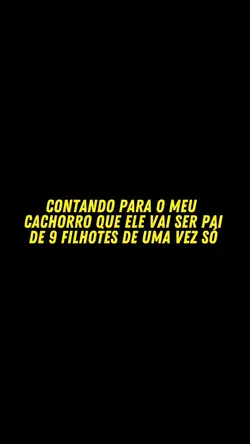 modelo novo 