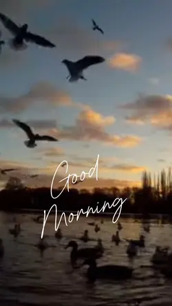 Good morning vibes