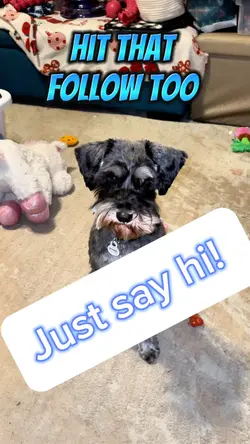 Just say hi! 