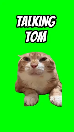 Talking Tom 
