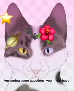 Some Q&A!