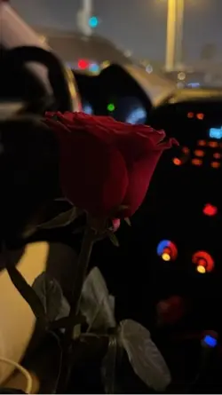 ♥️🥀