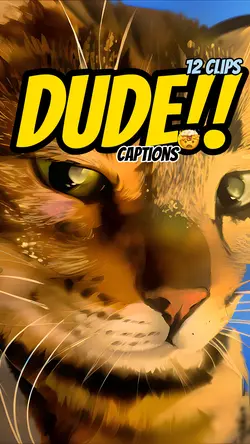 Dude!Shower thoughts