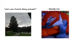 Fav Disney princess 