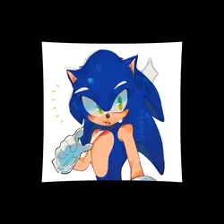 Sonic robo