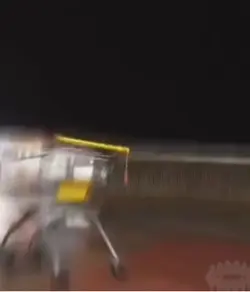 Shopping Cart Edit 👌