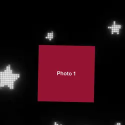 Miss The Stars