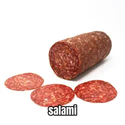 OMNI VERSION