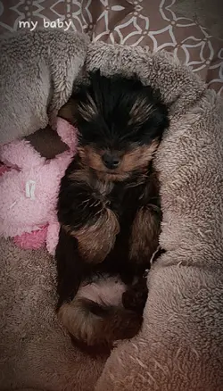 my baby my baby 