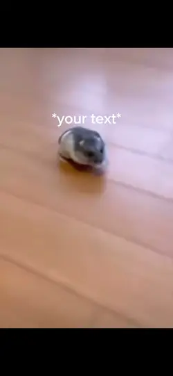 Zooooom