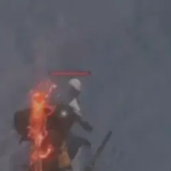Wukong funny