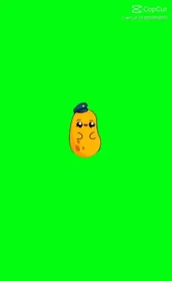 Potato