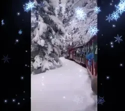Christmas friends 