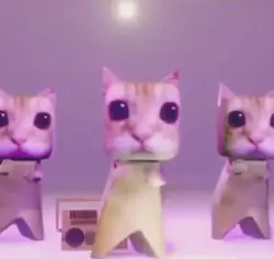 Rainbow cat dance