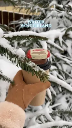 Winter dump