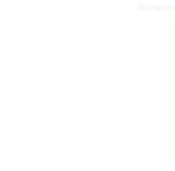 Best ship