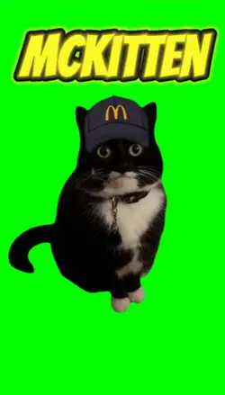 McKitten 