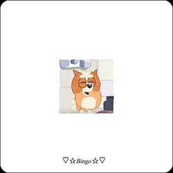Bingo <3