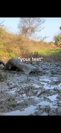 Mud