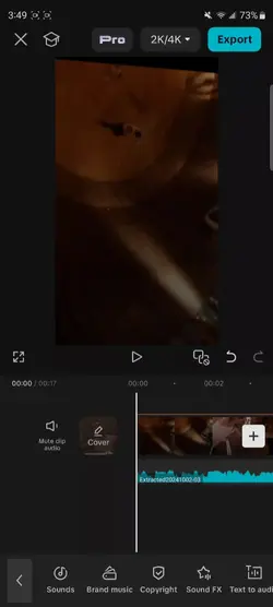 21 savage secretsong
