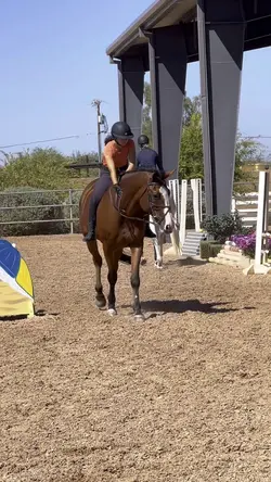 Horse love 🫶❤️