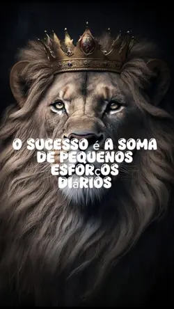 frases...

