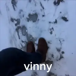 vine EMH