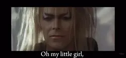 LABRYINTH EDIT POOKS
