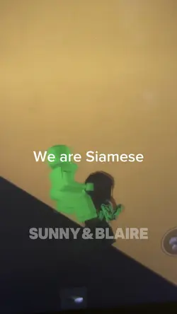We are Siamese 