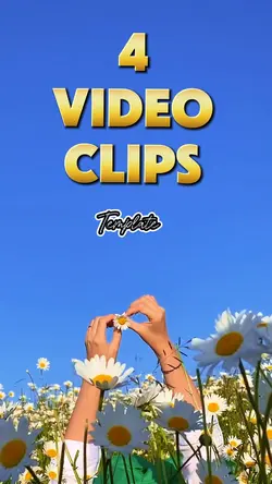 4 video template