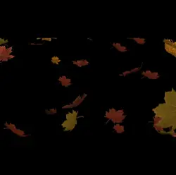 Thanksgiving 
