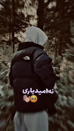  ♥️👀 نه امید یاری