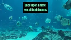 Claim Your Dreams