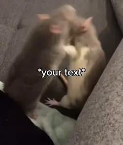 Siblings fight