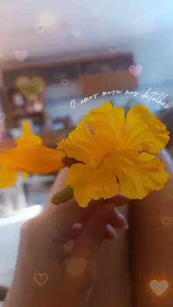 amor nos detalhes