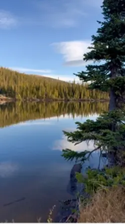 Long lake, nature