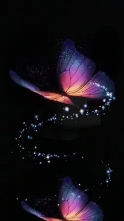Butterflies 🦋 
