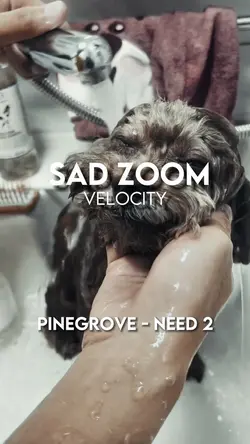 Sad zoom template