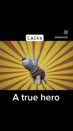 RIP Laika 😔😢🫡🫡