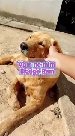 Vem ne mim Dodge Ram