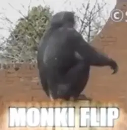 MONKI FLIP 😱😱