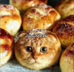 Cat food meme