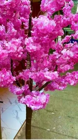 Flower world 