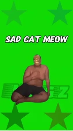 Meow meow meme